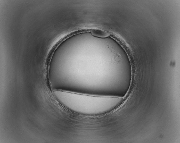 X0000095921167200801110848