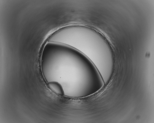 X0000095921168200801110848