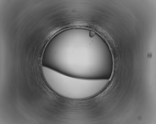 X0000095921169200801110848