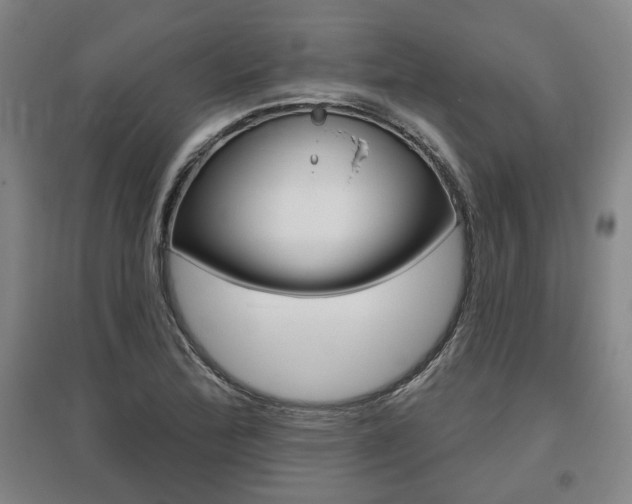 X0000095921172200801110848
