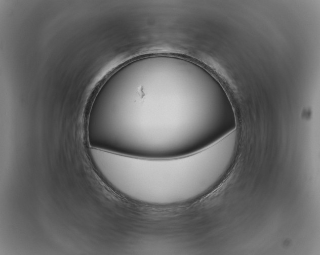 X0000095921173200801110848