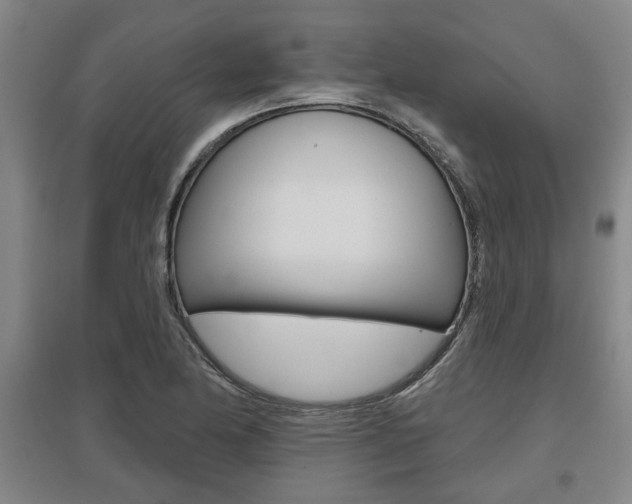 X0000095921174200801110848