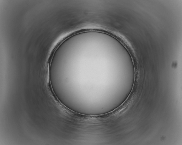 X0000095921175200801110848