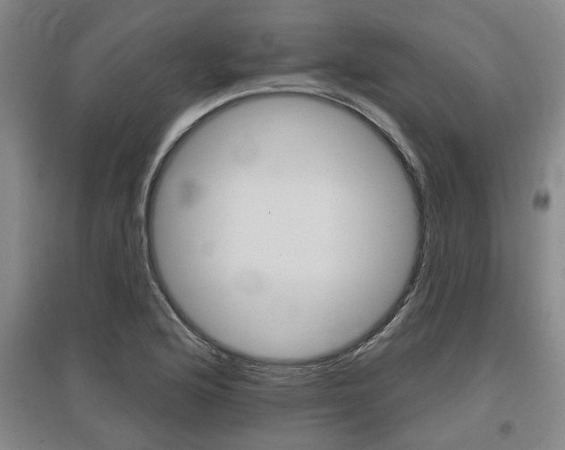 X0000095921176200801110848