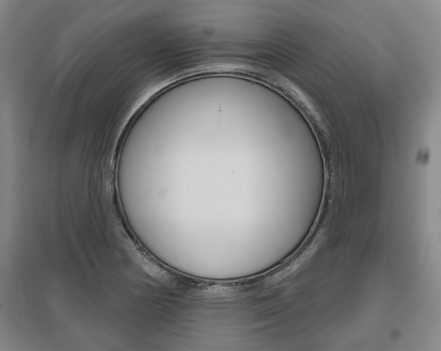 X0000095921178200801110848