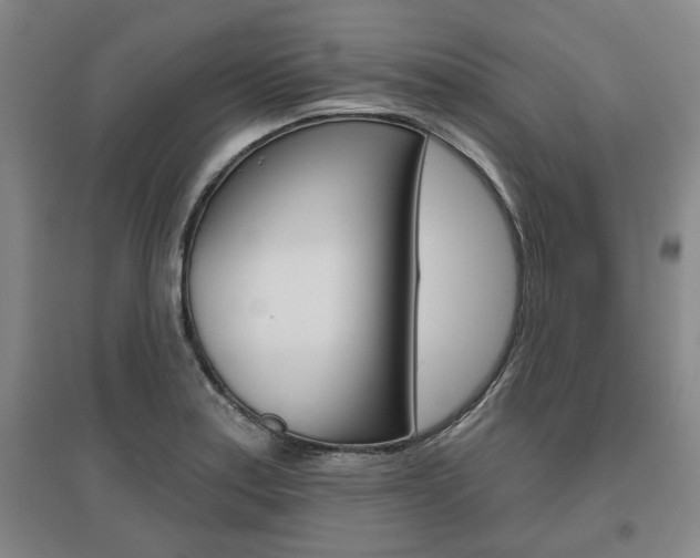 X0000095921179200801110848