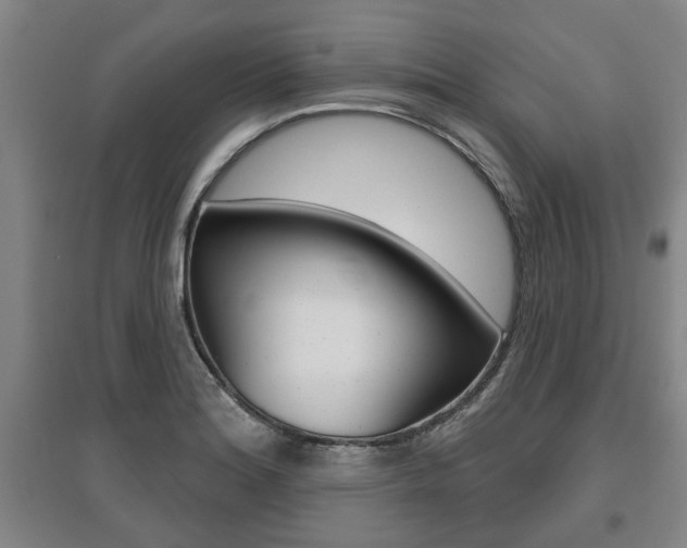 X0000095921180200801110848
