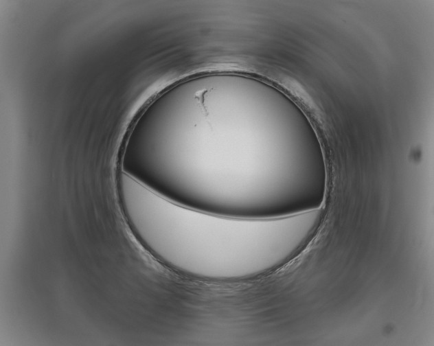 X0000095921181200801110848