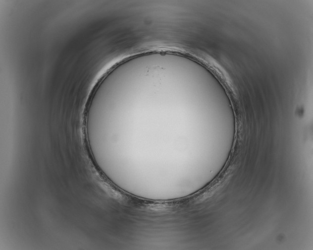 X0000095921182200801110848