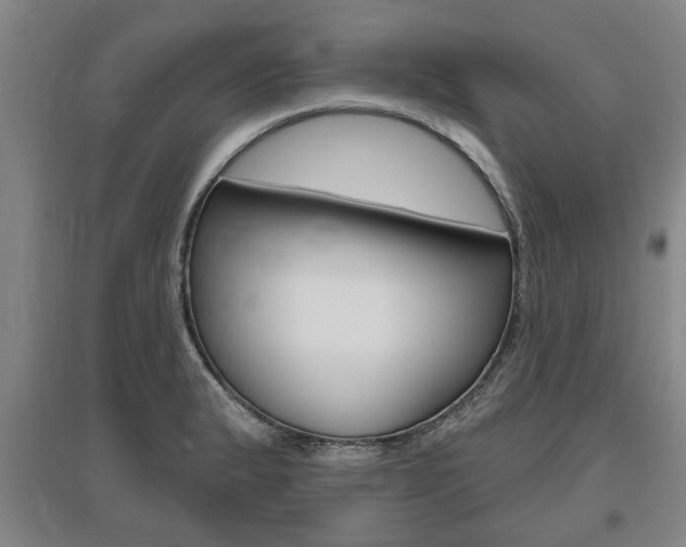X0000095921183200801110848