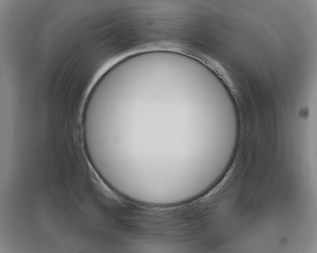 X0000095921184200801110847