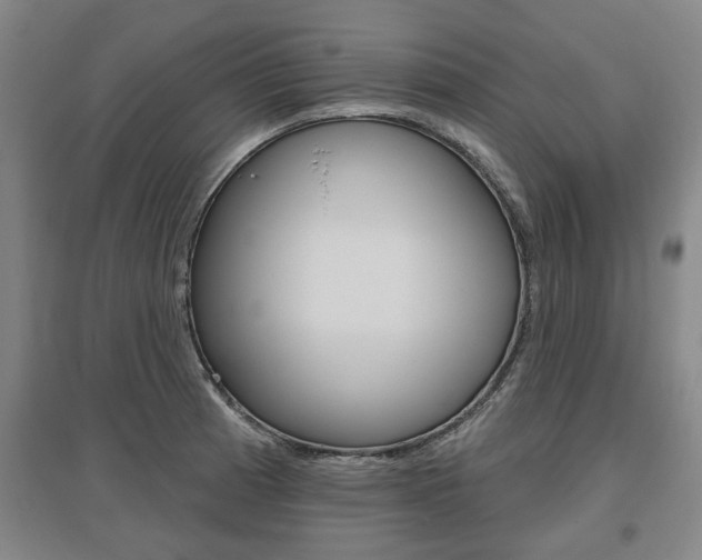 X0000095921185200801110847