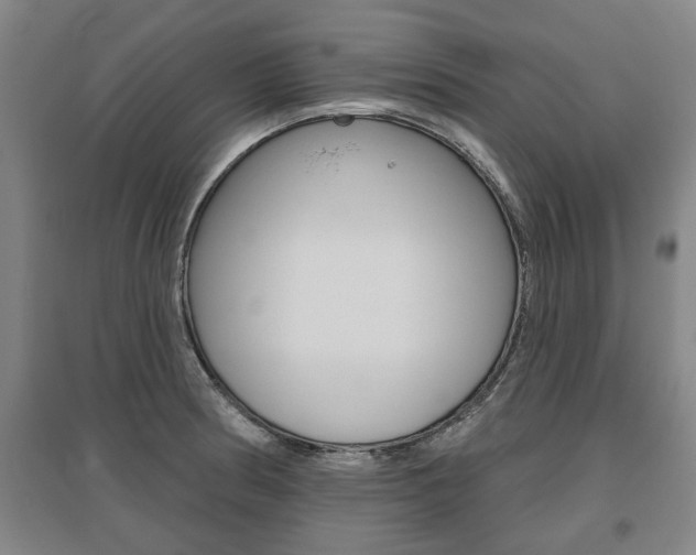 X0000095921186200801110847