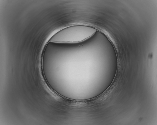 X0000095921187200801110847