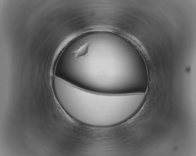 X0000095921188200801110847