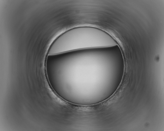 X0000095921189200801110847