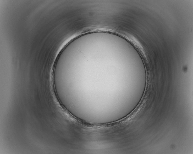 X0000095921190200801110847