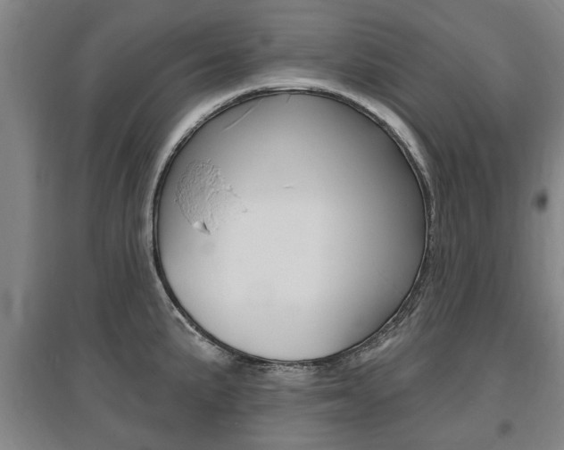 X0000095921191200801110847