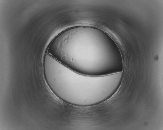X0000095921192200801110847