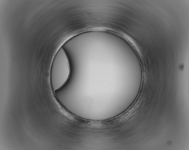 X0000095921194200801110847