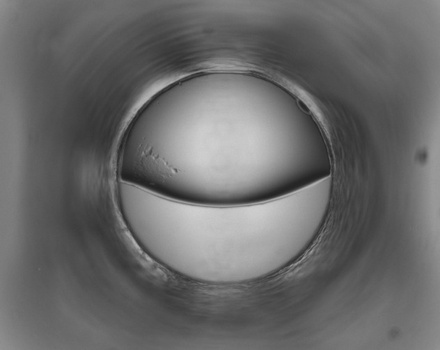 X0000095921195200801110847
