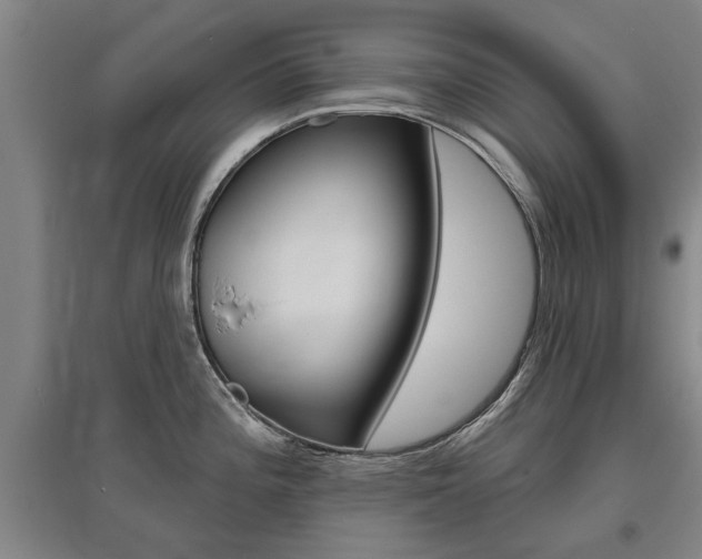 X0000095921196200801110847