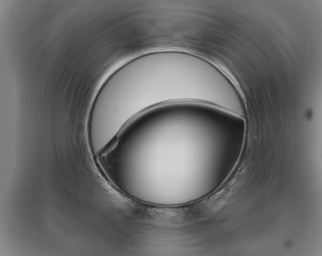X0000095921197200801110847