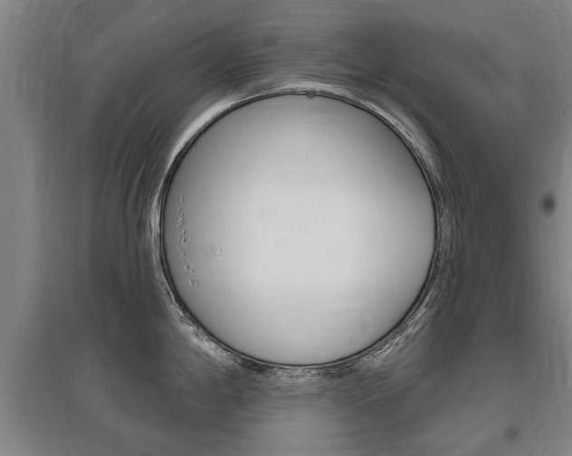X0000095921198200801110847