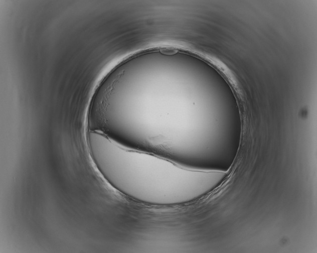 X0000095921199200801110847