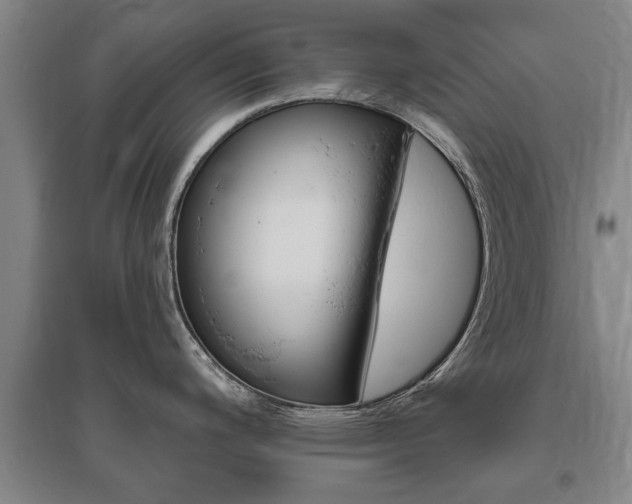 X0000095921200200801110847