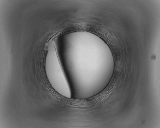 X0000095921201200801110846