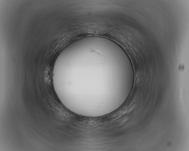 X0000095921202200801110846