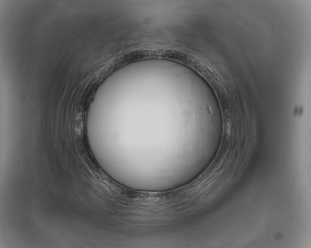 X0000095921204200801110846