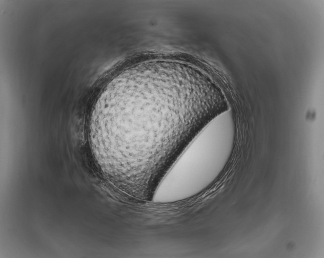 X0000095921205200801110846