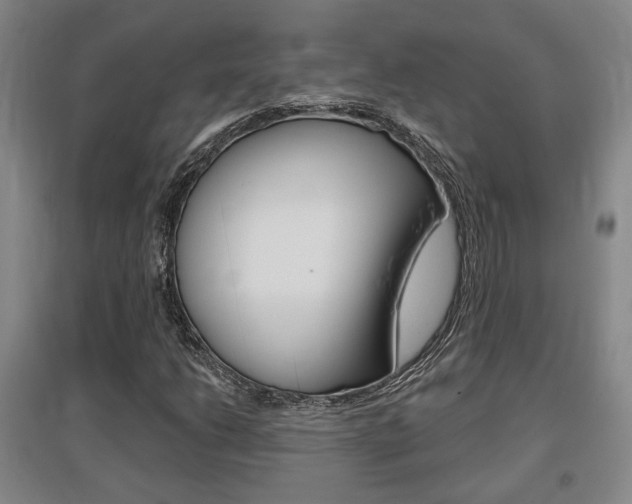 X0000095921206200801110846