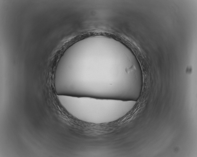 X0000095921207200801110846