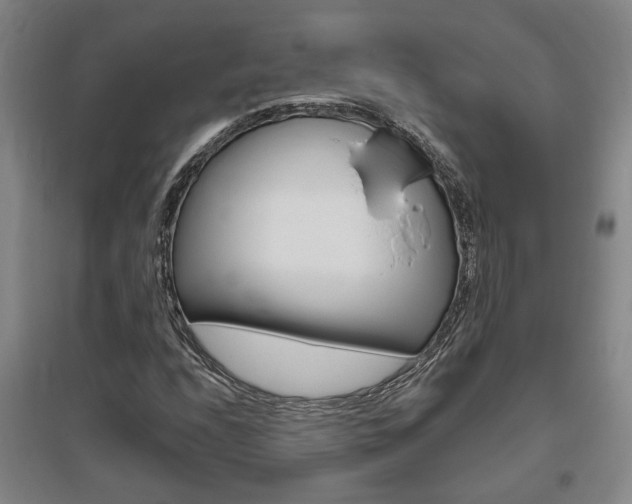 X0000095921208200801110846