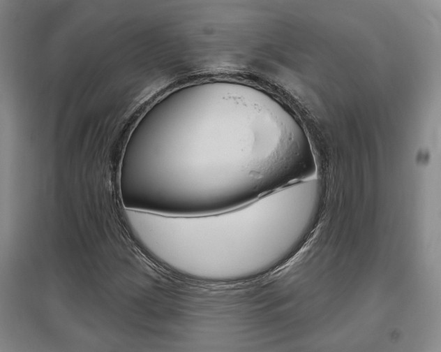 X0000095921209200801110846