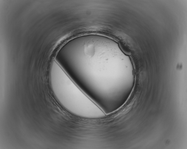 X0000095921210200801110846