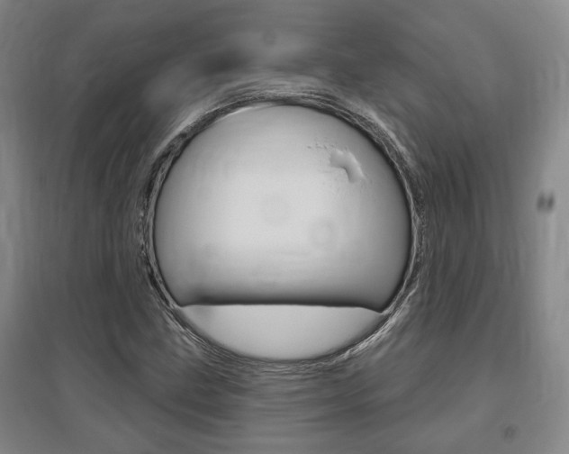 X0000095921211200801110846