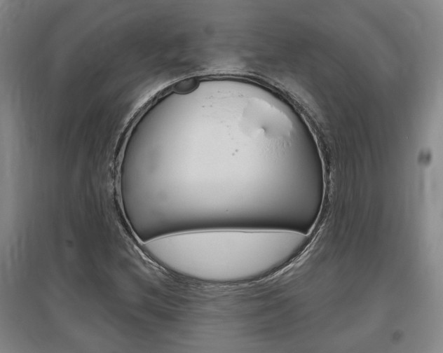 X0000095921212200801110846