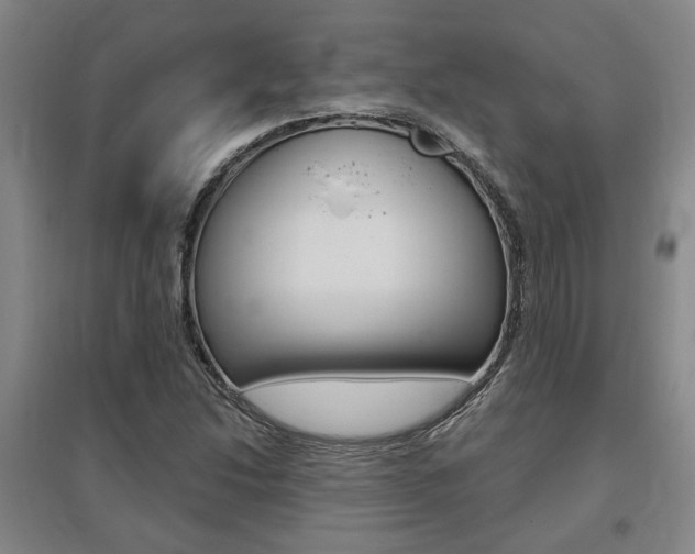 X0000095921214200801110846