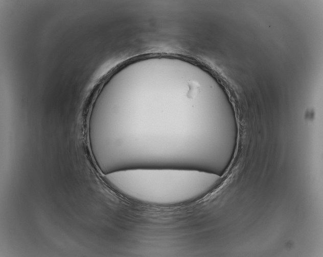 X0000095921215200801110846