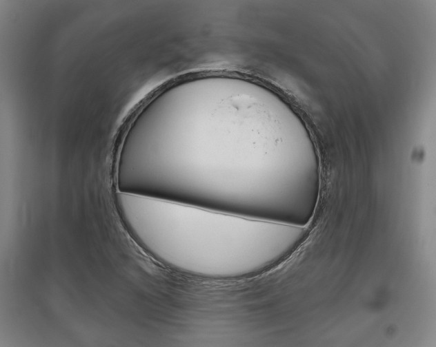 X0000095921216200801110846