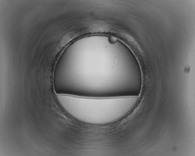 X0000095921217200801110846