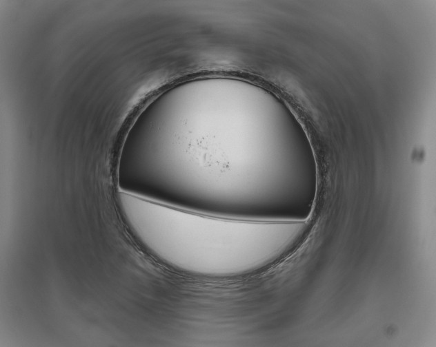 X0000095921218200801110847
