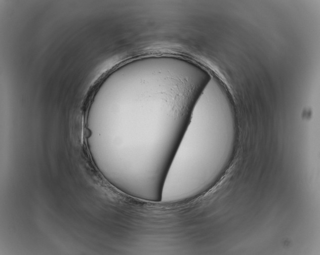 X0000095921219200801110847