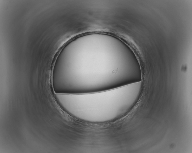 X0000095921220200801110847