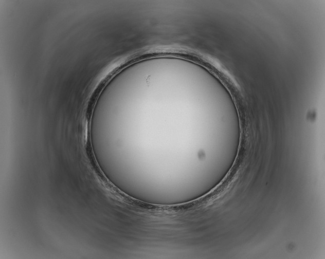X0000095921221200801110847