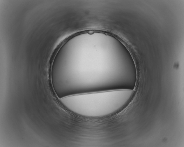 X0000095921222200801110847